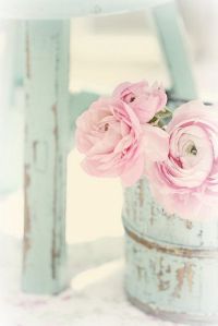 flores rosas en portamaceta de galvanizado
